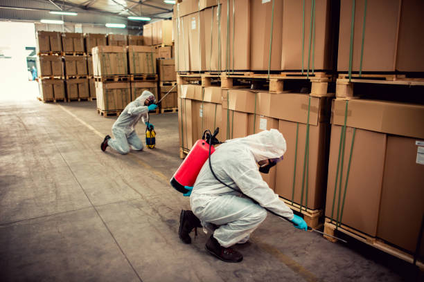 Best Wildlife Control Services  in Keedysville, MD