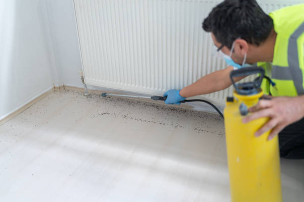 Best Commercial Pest Control Services  in Keedysville, MD
